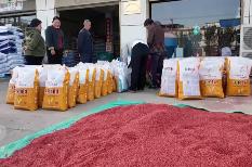 爭(zhēng)分奪秒保秋糧、穩(wěn)豐收