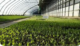 寧夏：“兩化一振興”推動農(nóng)業(yè)現(xiàn)代化取得顯著成效