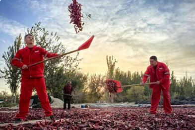 中國(guó)石油發(fā)布2024優(yōu)秀社會(huì)責(zé)任實(shí)踐案例集