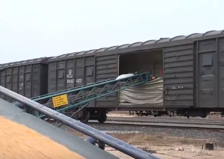 智慧運輸！創(chuàng)新“組合拳”保障糧食運輸“大動脈”智能、綠色、高效