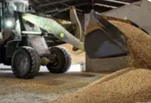 護航“三秋”生產(chǎn) 河南多地積極行動