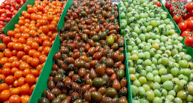 進(jìn)口來源更廣 供應(yīng)鏈更穩(wěn) 中國農(nóng)產(chǎn)品多元化進(jìn)口擴(kuò)容提質(zhì)