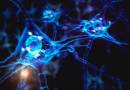 鏈接“政產(chǎn)學(xué)研醫(yī)”各環(huán)節(jié) 腦機接口產(chǎn)業(yè)創(chuàng)新發(fā)展探路未來