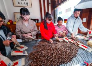 浙江諸暨：黨建引領(lǐng)打造香榧之鄉(xiāng)共富產(chǎn)業(yè)鏈