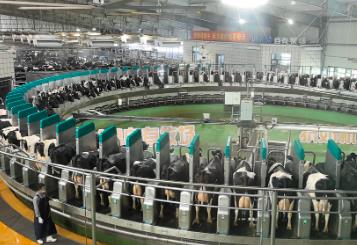 黑龍江省印發(fā)方案 全鏈條監(jiān)管農產品質量