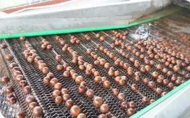 小堅果成就大產(chǎn)業(yè) 廣東陽春將“綠色家底”轉化為發(fā)展優(yōu)勢