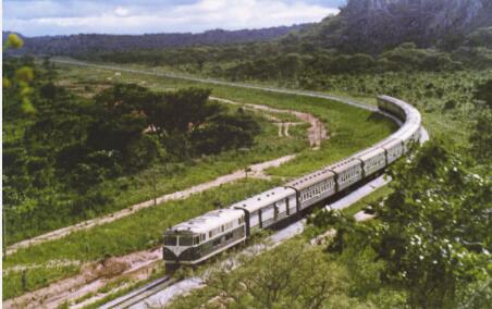 中國鐵建承建的坦贊鐵路激活項目正式開工