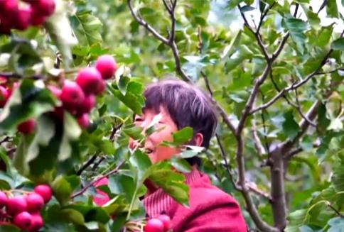 新亮點、新業(yè)態(tài)“熱”力十足助農(nóng)增收 我國鄉(xiāng)村產(chǎn)業(yè)蓬勃興旺、韌性強