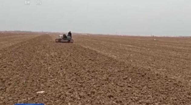 秋冬種基本結(jié)束 田間管理有序展開