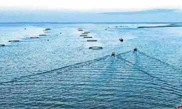 海洋漁業(yè)一產(chǎn)產(chǎn)值邁入千億級(jí)大關(guān) 浙江發(fā)力現(xiàn)代化“藍(lán)色糧倉(cāng)”建設(shè)