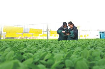 四川農(nóng)業(yè)以“圈”“鏈”破局謀升級　探索從“賣原料”到做產(chǎn)業(yè)