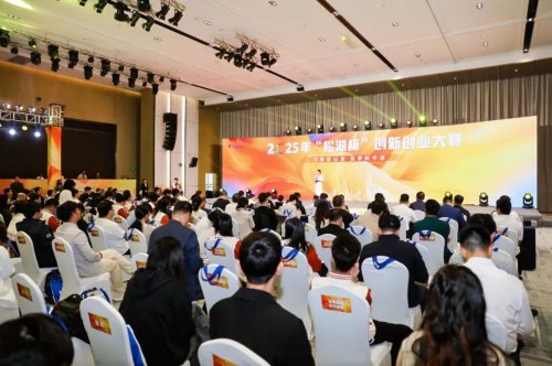 十年鍛造“創(chuàng)新雨林”！2025年“松湖杯”創(chuàng)賽再結(jié)碩果
