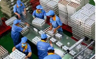 陜西渭南乳制品全產(chǎn)業(yè)鏈價值達200億元