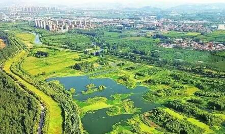 謀新重綠 向“智”求質(zhì)——山東深化綠色低碳高質(zhì)量發(fā)展觀察