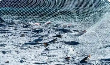 《貴州省大水面增殖漁業(yè)管理辦法》出臺(tái)