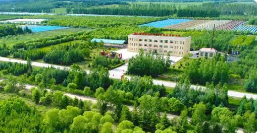 龍江森工集團(tuán)深耕森林農(nóng)業(yè)“責(zé)任田” 托牢糧食安全“壓艙石”