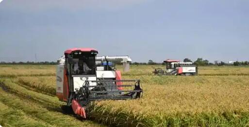 守底線 拉高線  天津助力農(nóng)業(yè)高質(zhì)量發(fā)展