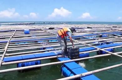 廣東省農(nóng)業(yè)農(nóng)村廳：已累計(jì)建成重力式深水網(wǎng)箱7498個，居全國第一