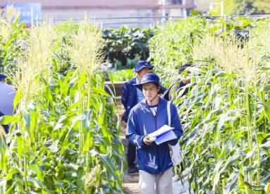 廣東有“種”！種業(yè)振興“五年見成效”創(chuàng)新實(shí)踐成績單來了