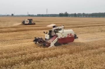 超1.4萬億斤！2025年全國(guó)糧食實(shí)現(xiàn)豐收