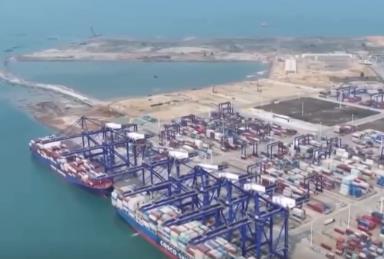 “船未到、手續(xù)已辦畢” 洋浦港持續(xù)釋放改革活力 集裝箱吞吐量創(chuàng)新高