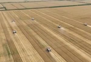 “十四五”新建改造高標準農田4.6億畝 為端穩(wěn)“中國飯碗”提供“硬支撐”