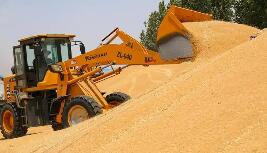 廣西糧食應(yīng)急保障企業(yè)突破2100家