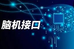 2025年我國(guó)腦機(jī)接口產(chǎn)業(yè)發(fā)展成效顯著