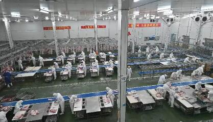 “中原糧倉”變身“國人廚房” 河南原陽：從“種得好”走向“造得優(yōu)”