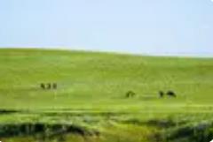 出游便捷又有趣 數(shù)智賦能內(nèi)蒙古