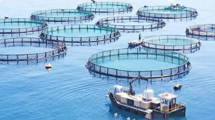 以水養(yǎng)魚 以魚凈水 廣西積極探索大水面生態(tài)漁業(yè)發(fā)展模式