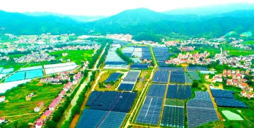 江西省贛州市于都縣富硒產(chǎn)業(yè)鋪就鄉(xiāng)村振興黃金路