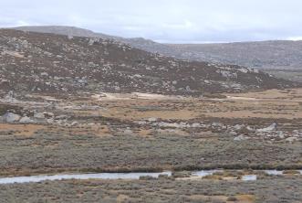 登至4300米！考古刷新青藏高原東部人類(lèi)遷徙紀(jì)錄