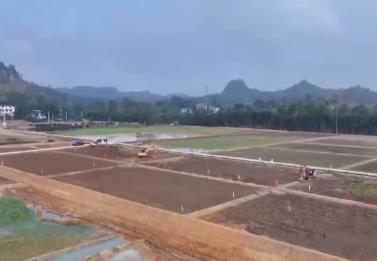 各地?fù)屪S金施工期多維度發(fā)力 保障高標(biāo)準(zhǔn)農(nóng)田建設(shè)筑牢糧食安全的良田根基