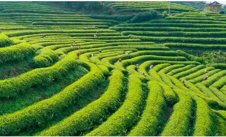 福建省建寧縣：智能農(nóng)機“跑”上坡 丘陵農(nóng)業(yè)路更寬