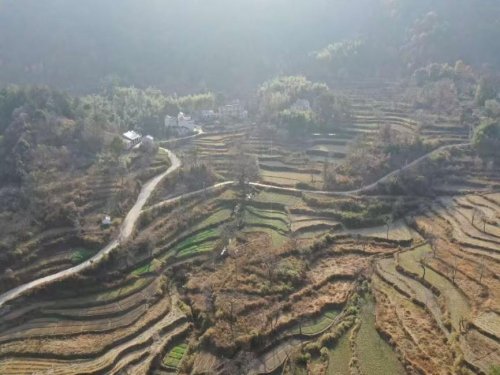 羅田煙草：鋪就鄉(xiāng)村振興“路”， 煥發(fā)鄉(xiāng)村新容顏