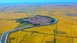 吉林糧食生產(chǎn)連續(xù)5年超800億斤