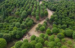 我國首部氣候資源經(jīng)濟(jì)藍(lán)皮書發(fā)布