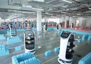 “智慧大腦”結(jié)合“靈活身體” 我國(guó)重點(diǎn)布局具身智能產(chǎn)業(yè)