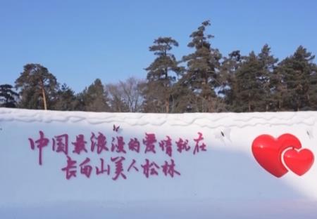 愛情森林、冰雪研學(xué)……解鎖“冰雪+”新場景 冬季文旅消費(fèi)煥發(fā)新活力