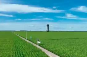 衛(wèi)星“看”莊稼、大數(shù)據(jù)“算”收成 農(nóng)業(yè)發(fā)展向“新”而行