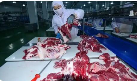 進(jìn)口牛肉激增，誰來“保障”國內(nèi)產(chǎn)業(yè)健康發(fā)展？