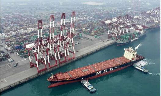 澳洲直航！山東港口青島港開通2026年首條外貿(mào)新航線