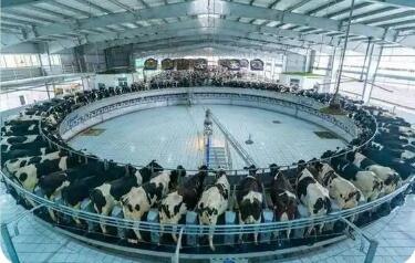 山東助力奶業(yè)高質(zhì)量發(fā)展