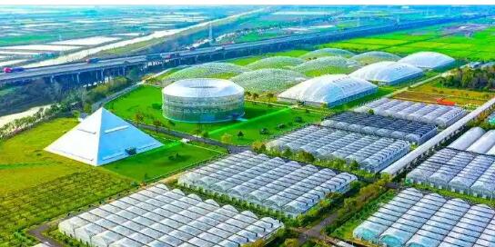 浙江：標準化串起“田頭到舌尖” 賦能農(nóng)業(yè)高質(zhì)量發(fā)展