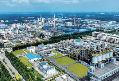 濟(jì)寧這一年｜招商引資繪就高質(zhì)量發(fā)展新畫卷