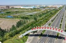 山西陽高：新業(yè)態(tài)拓寬本土外地年輕人就業(yè)路