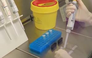 2025年我國累計發(fā)布226項食品農產品安全領域國家標準物質