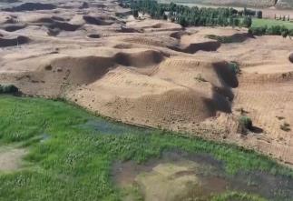 “十四五”我國林草種苗工作取得新進展 “三北”工程完成建設任務超2億畝