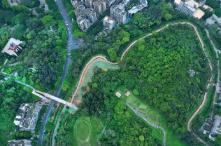 “十四五”期間，廣東生態(tài)環(huán)境質(zhì)量走在全國前列